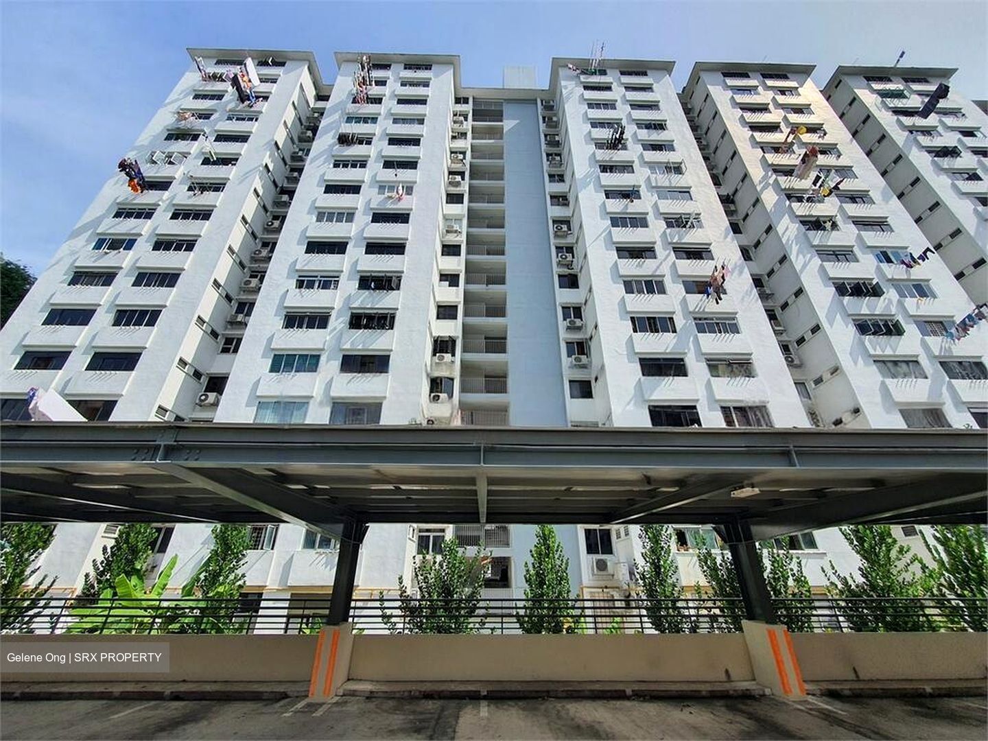 Blk 165 Stirling View (Queenstown), HDB 3 Rooms #453749811